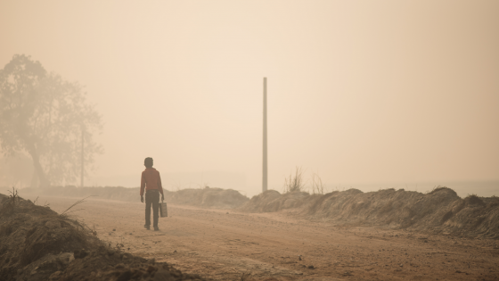 Screenshot 2021-12-14 at 11.52.27